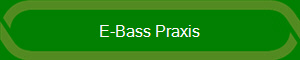 E-Bass Praxis
